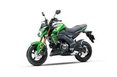 Kawasaki Z125 PRO